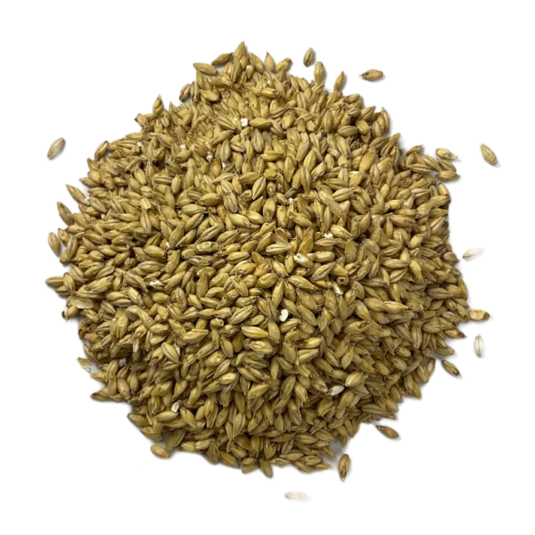 Briess Pilsen Malt - 1 oz.