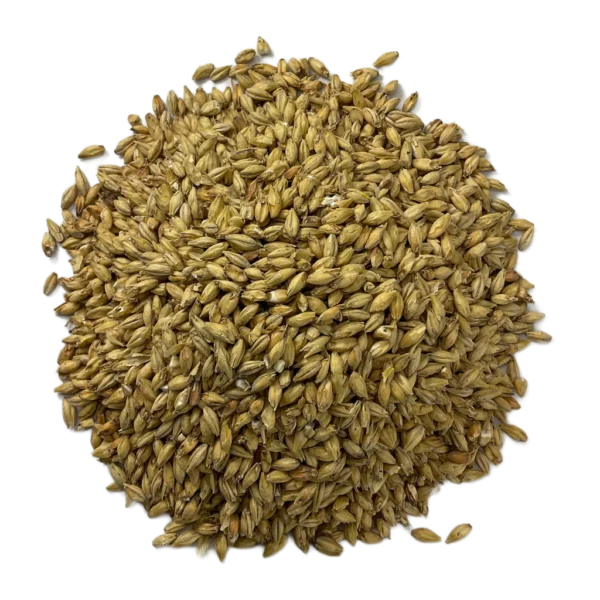 Briess 2-Row Pale Ale Malt - 1 oz.